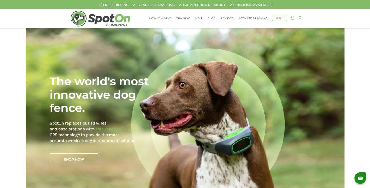 FREE DOMAIN AND HOSTING OFFER DOG CARE WEBSITE & UK AFFILIATE STORE 