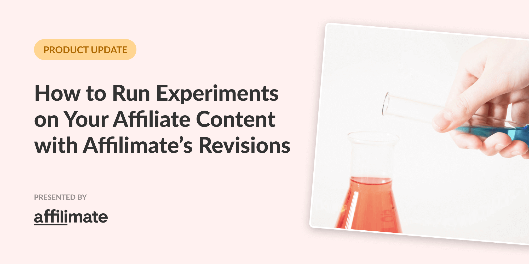 Revisions in Affilimate: How to track your affiliate website experiments