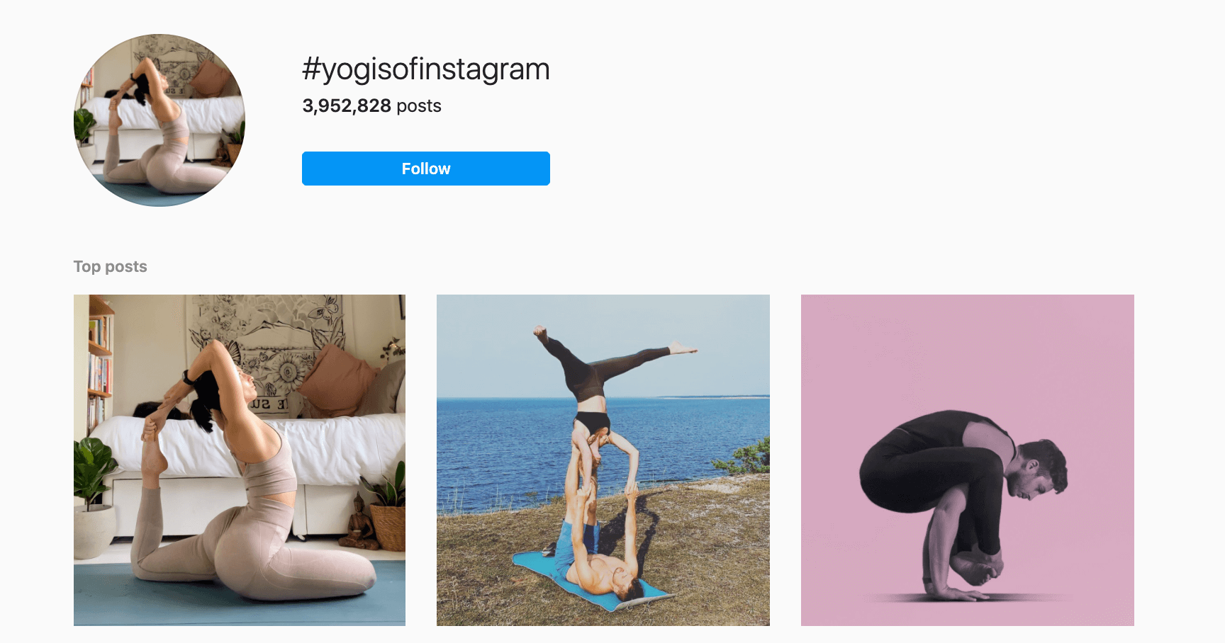 Wellness instagram niche